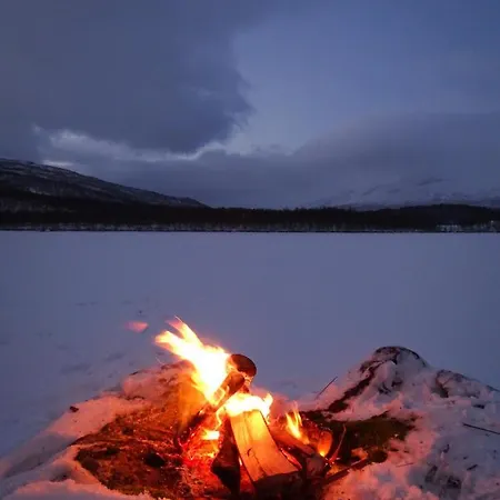 Arctic Farmhouse Stall Holtaas Farm stay *