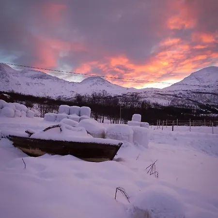 Arctic Farmhouse Stall Holtaas Farm stay