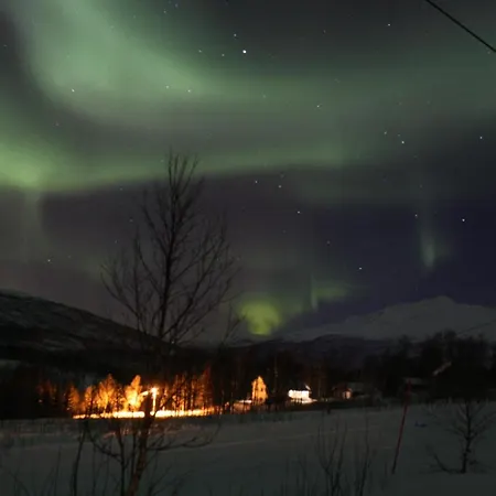 Arctic Farmhouse Stall Holtaas Farm stay *