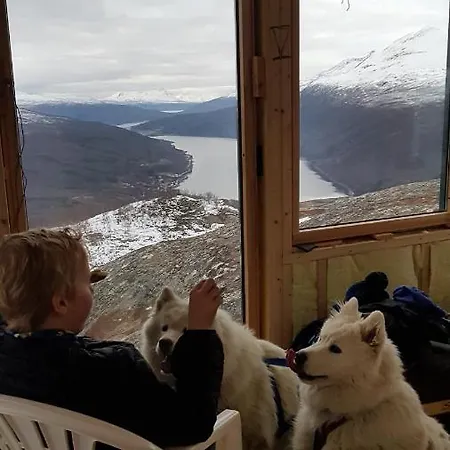 Bauernhof Arctic Farmhouse Stall Holtaas Gratangen
